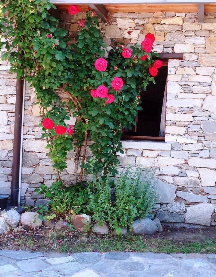 Casa Cicala Holiday home Trarego