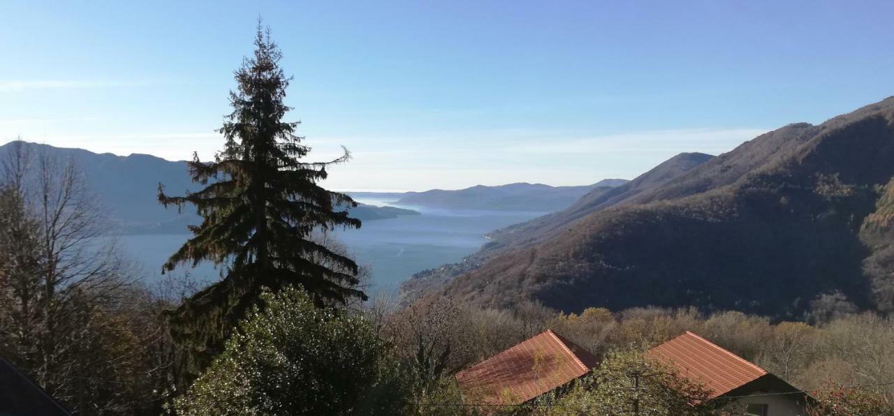 Vakantiehuis Casa Cicala *